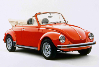 VW Brouk  20 x 30 cm